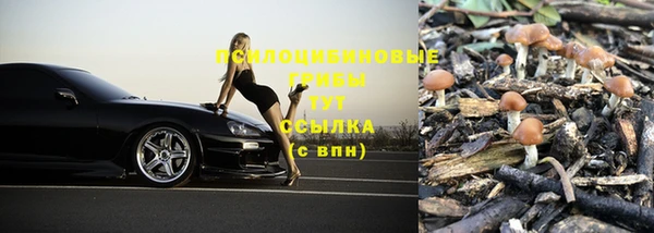 скорость Богородск