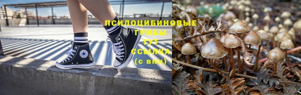 не бодяженный Богданович