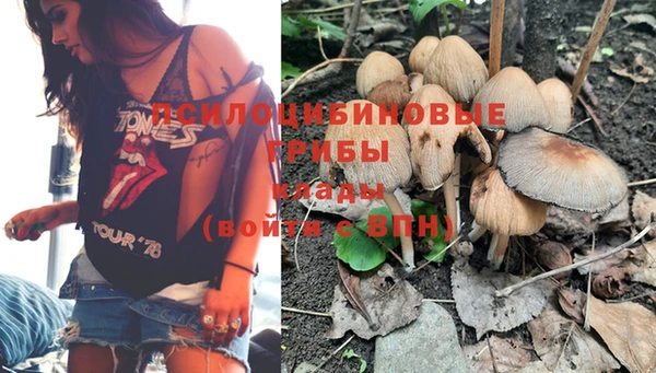 не бодяженный Богданович