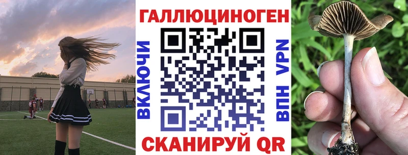 blacksprut ТОР  где найти   Костерёво  Галлюциногенные грибы Psilocybine cubensis 